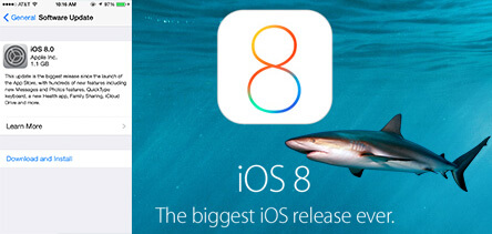 ios8-shark.jpg ios8-shark.jpg