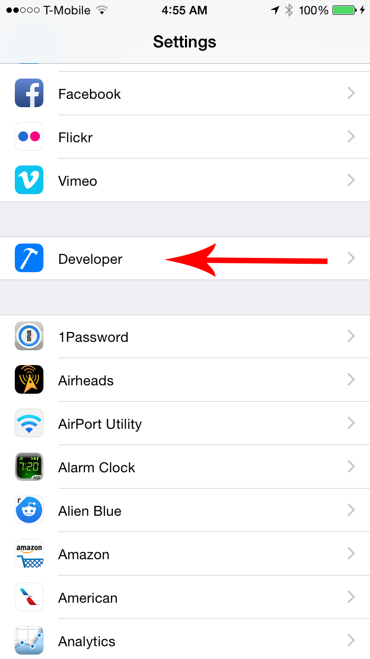 iPhoneSettings---Developer.png iPhoneSettings---Developer.png