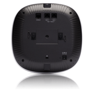 AP back.png AP back.png