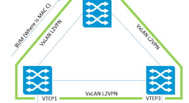 Get in Control of Your VxLAN Traffic