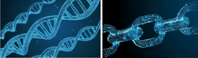 屏幕截图2017-11-16 8.58.10 AM.png