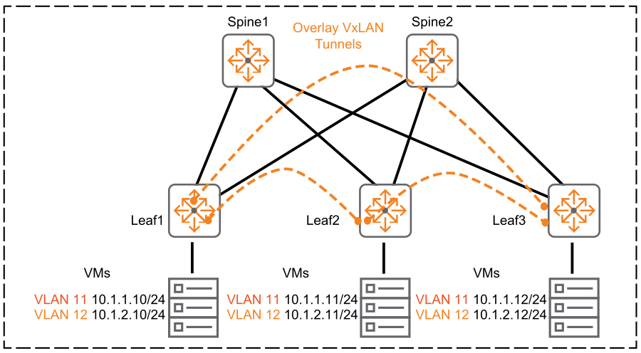 Layered transport network