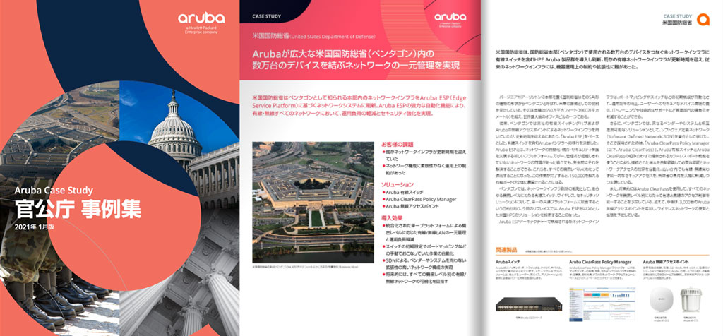 阿鲁巴岛的案例研究