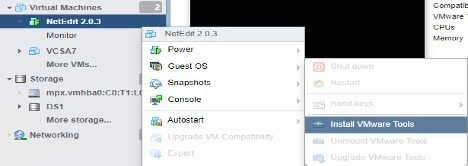 NetEdit: Install VMware Tools