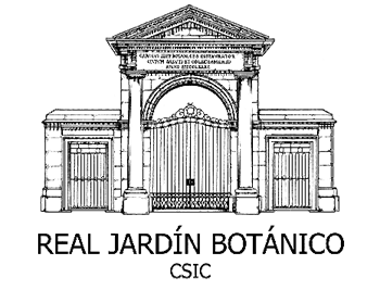 皇家植物园-马德里